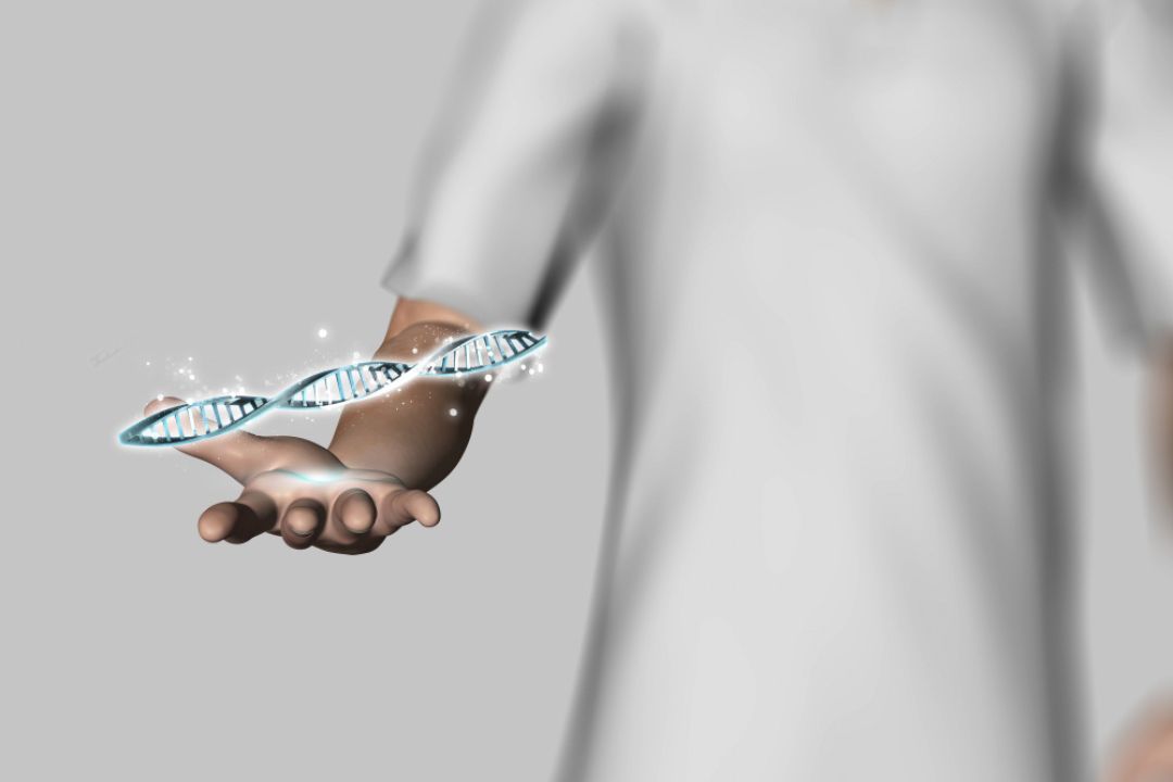 exploring genetic risks is it possible to prevent inherited disorders your familys guide